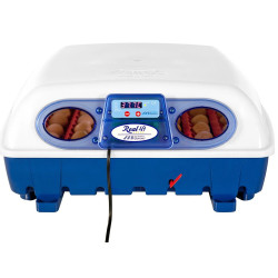 BOROTTO REAL 49 tojáskeltető