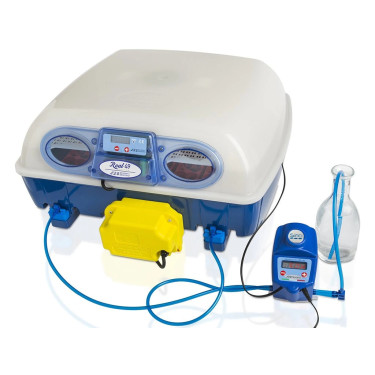 Teljesen automatikus tojáskeltető BOROTTO REAL 49 EXPERT