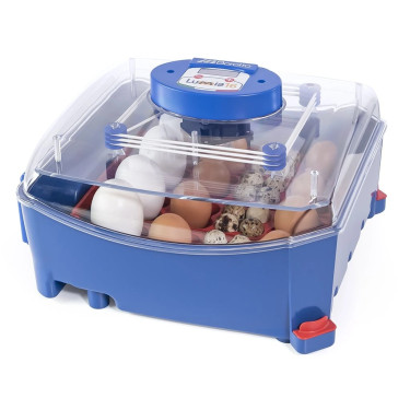 BOROTTO LUMIA 16 AUTOMATIC automatikus tojáskeltető