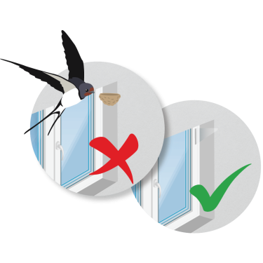 Madarak ablakfészekrakásának megakadályozása 