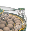 AGROFORTEL 52H automata baromfikellátor – 52 tojáshoz