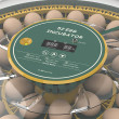 AGROFORTEL 52H automata baromfikellátor – 52 tojáshoz