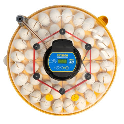 BRINSEA Maxi 48 Advance - automata inkubátor tyúkoknak és libáknak