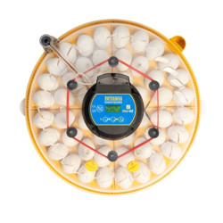 BRINSEA Maxi 48 EX - teljesen automatikus inkubátor csirkék, fürjek és libák számára