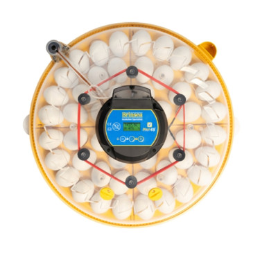 BRINSEA Maxi 48 EX Connect - intelligens keltető csirkék, fürjek és libák számára