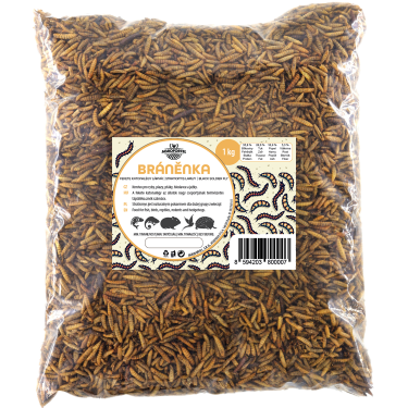 Fekete katonalégy lárvái 1 kg