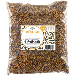 Fekete katonalégy lárvái 5 kg