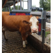 Euro Farm szarvasmarha dörzsölőkefe rugóval