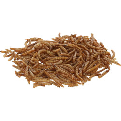 Szárított lisztkukac lárvák, 900 g, Kerbl