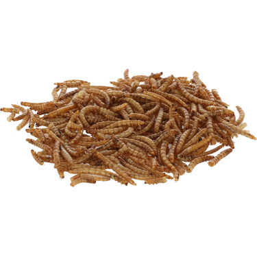 Szárított lisztkukac lárvák, 900 g, Kerbl