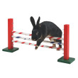 Agility ugróakadály rágcsálóknak