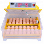 WQ-48 Automata digitális keltető keltetővel és higrométerrel. 48 tojáshoz.