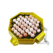 CLEO 5x2 DTH AUTOMATIC Automata tojáskeltető