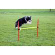 Kerbl agility akadályok kutyáknak, készlet, 3 féle  
