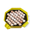 CLEO 5 DTH AUTOMATIC Automata tojáskeltető