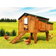 CHICKEN GUARD EXTREME 25x30 Automata tyúkólajtó-készlet