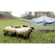 Mobil menedékhely juhok és kecskék számára, 2,75 x 2,75 m-es ponyvával  