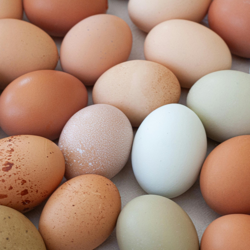 Húsvéti tyúk: színes tojások festés nélkül