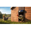 RUN-CHICKEN Eternal automata napelemes tyúkólajtó