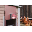EasyProtect automata nyitás és zárás tyúkólhoz 30×33 ROSE