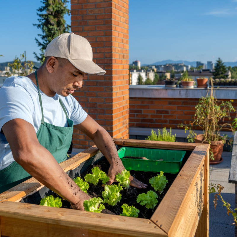 Tetőkertek: modern termesztési mód a városokban