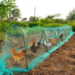 Hálós tyúkól-tunnel, 2,5 × 10 m